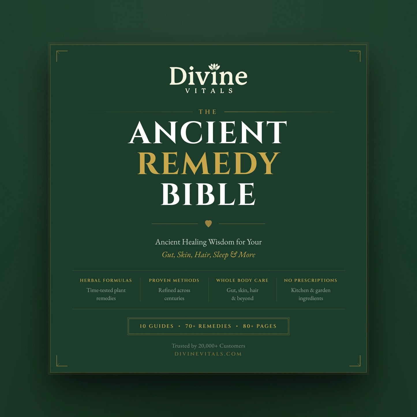The Ancient Remedy Bible